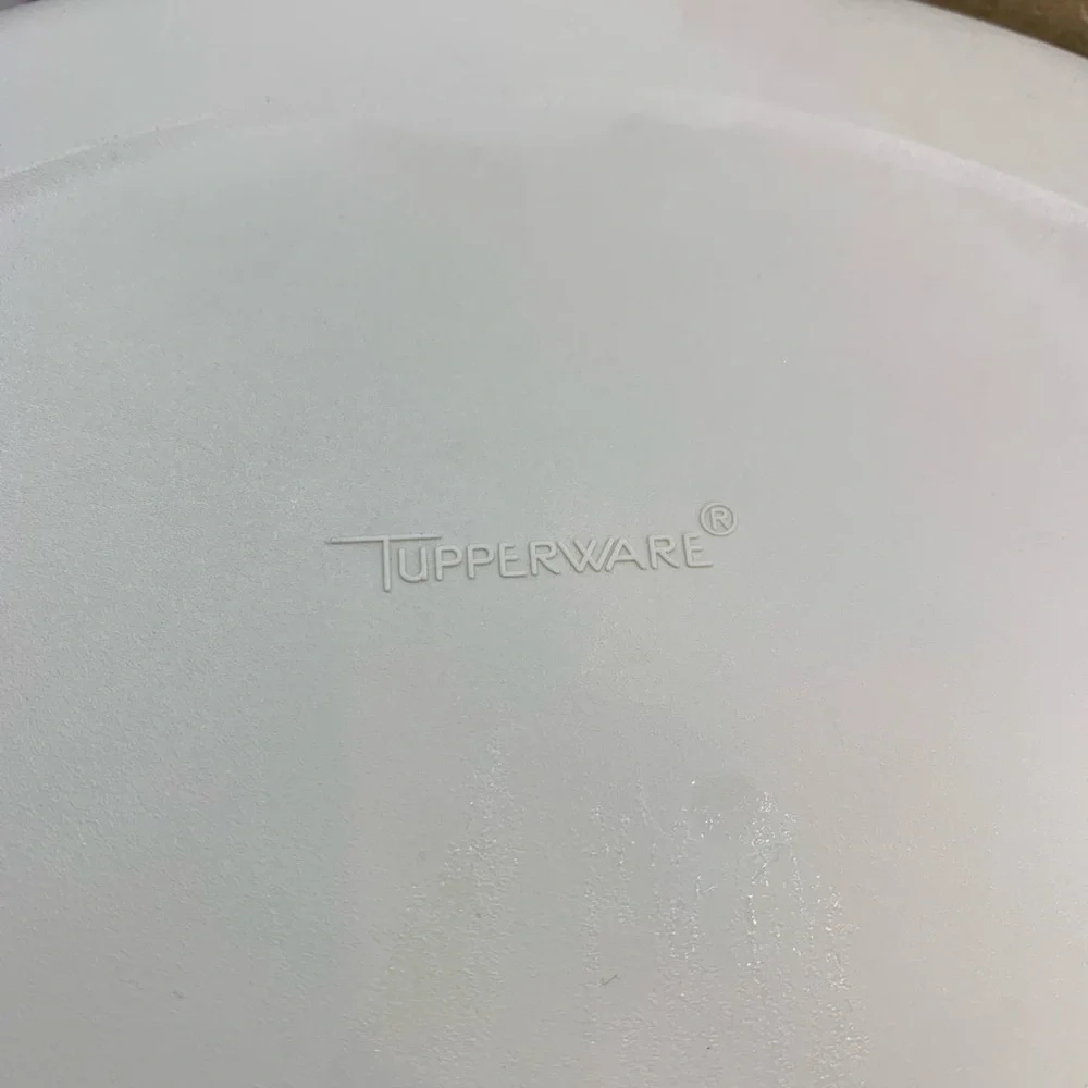 Tupperware vegetable and dip tray with lid